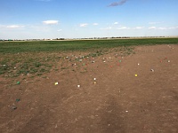 2017-06-20 Western Trip 11