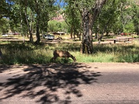 2017-06-28 Western Trip 001
