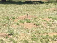 2017-06-29 Western Trip 003