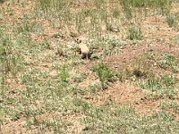 2017-06-29 Western Trip 005