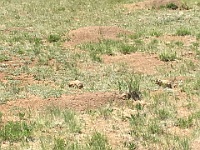 2017-06-29 Western Trip 007