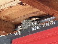 2017-07-05 Western Trip 003