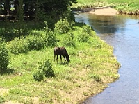 2017-07-05 Western Trip 013
