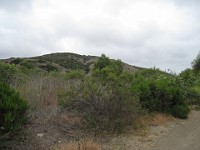 2012 Crystal Cove CA 0060  Near Santa Ana California is Crystal Cove State Park. A great place to "run hills". I was able to get some miles in during a trip in June of 2012. : Running, Trail, Trips