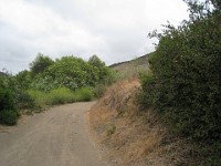 2012 Crystal Cove CA 0065  Near Santa Ana California is Crystal Cove State Park. A great place to "run hills". I was able to get some miles in during a trip in June of 2012. : Running, Trail, Trips