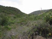 2012 Crystal Cove CA 0125  Near Santa Ana California is Crystal Cove State Park. A great place to "run hills". I was able to get some miles in during a trip in June of 2012. : Running, Trail, Trips
