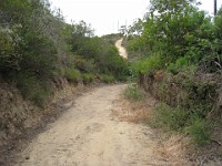 2012 Crystal Cove CA 0170  Near Santa Ana California is Crystal Cove State Park. A great place to "run hills". I was able to get some miles in during a trip in June of 2012. : Running, Trail, Trips