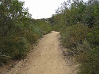 2012 Crystal Cove CA 0190  Near Santa Ana California is Crystal Cove State Park. A great place to "run hills". I was able to get some miles in during a trip in June of 2012. : Running, Trail, Trips