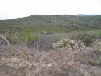 2012 Crystal Cove CA 0220  Near Santa Ana California is Crystal Cove State Park. A great place to "run hills". I was able to get some miles in during a trip in June of 2012. : Running, Trail, Trips
