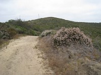 2012 Crystal Cove CA 0225  Near Santa Ana California is Crystal Cove State Park. A great place to "run hills". I was able to get some miles in during a trip in June of 2012. : Running, Trail, Trips