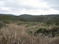2012 Crystal Cove CA 0245  Near Santa Ana California is Crystal Cove State Park. A great place to "run hills". I was able to get some miles in during a trip in June of 2012. : Running, Trail, Trips