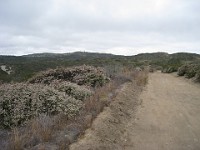 2012 Crystal Cove CA 0250  Near Santa Ana California is Crystal Cove State Park. A great place to "run hills". I was able to get some miles in during a trip in June of 2012. : Running, Trail, Trips