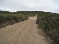 2012 Crystal Cove CA 0275  Near Santa Ana California is Crystal Cove State Park. A great place to "run hills". I was able to get some miles in during a trip in June of 2012. : Running, Trail, Trips
