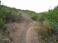 2012 Crystal Cove CA 0310  Near Santa Ana California is Crystal Cove State Park. A great place to "run hills". I was able to get some miles in during a trip in June of 2012. : Running, Trail, Trips
