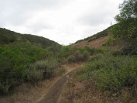 2012 Crystal Cove CA 0320  Near Santa Ana California is Crystal Cove State Park. A great place to "run hills". I was able to get some miles in during a trip in June of 2012. : Running, Trail, Trips