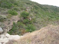 2012 Crystal Cove CA 0330  Near Santa Ana California is Crystal Cove State Park. A great place to "run hills". I was able to get some miles in during a trip in June of 2012. : Running, Trail, Trips