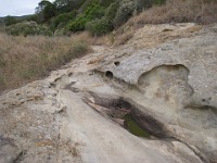 2012 Crystal Cove CA 0340  Near Santa Ana California is Crystal Cove State Park. A great place to "run hills". I was able to get some miles in during a trip in June of 2012. : Running, Trail, Trips