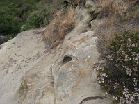 2012 Crystal Cove CA 0345  Near Santa Ana California is Crystal Cove State Park. A great place to "run hills". I was able to get some miles in during a trip in June of 2012. : Running, Trail, Trips