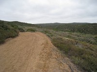 2012 Crystal Cove CA 0350  Near Santa Ana California is Crystal Cove State Park. A great place to "run hills". I was able to get some miles in during a trip in June of 2012. : Running, Trail, Trips