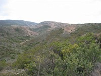 2012 Crystal Cove CA 0365  Near Santa Ana California is Crystal Cove State Park. A great place to "run hills". I was able to get some miles in during a trip in June of 2012. : Running, Trail, Trips