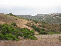 2012 Crystal Cove CA 0440  Near Santa Ana California is Crystal Cove State Park. A great place to "run hills". I was able to get some miles in during a trip in June of 2012. : Running, Trail, Trips