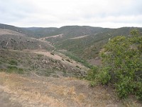 2012 Crystal Cove CA 0500  Near Santa Ana California is Crystal Cove State Park. A great place to "run hills". I was able to get some miles in during a trip in June of 2012. : Running, Trail, Trips