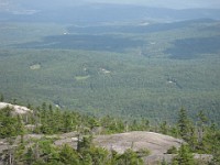 Hill Climb  A trip to New Hampshire with evening time to make a "Speed Hike" up Mt. Cardigan near Bristol NH. A little climb of 1726 feet to the top. : Trail Runs