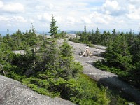 Hill Climb  A trip to New Hampshire with evening time to make a "Speed Hike" up Mt. Cardigan near Bristol NH. A little climb of 1726 feet to the top. : Trail Runs