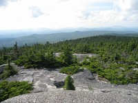 Hill Climb  A trip to New Hampshire with evening time to make a "Speed Hike" up Mt. Cardigan near Bristol NH. A little climb of 1726 feet to the top. : Trail Runs