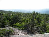 Hill Climb  A trip to New Hampshire with evening time to make a "Speed Hike" up Mt. Cardigan near Bristol NH. A little climb of 1726 feet to the top. : Trail Runs