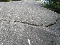 Hill Climb  A trip to New Hampshire with evening time to make a "Speed Hike" up Mt. Cardigan near Bristol NH. A little climb of 1726 feet to the top. : Trail Runs