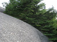 Hill Climb  A trip to New Hampshire with evening time to make a "Speed Hike" up Mt. Cardigan near Bristol NH. A little climb of 1726 feet to the top. : Trail Runs
