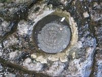 Hill Climb  The benchmark at the top! : Trail Runs