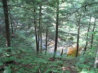 Hill Climb  A trip to New Hampshire with evening time to make a "Speed Hike" up Mt. Cardigan near Bristol NH. A little climb of 1726 feet to the top. : Trail Runs