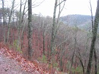 2012 Raven Cliffs Run 1 010  I ran this park two times, the first time I went AWAY from the falls. Oops, so I went back later and went TO the falls. Just outside Helen Georgia, two hours North of Atlanta is Raven Cliffs State Park. It has one of the highest waterfalls in Georgia, and a nice trail to run. Round trip, just under five miles. : Trail Runs