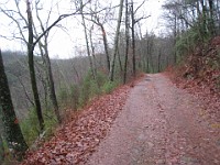 2012 Raven Cliffs Run 1 020  Just outside Helen Georgia, two hours North of Atlanta is Raven Cliffs State Park. It has one of the highest waterfalls in Georgia, and a nice trail to run. Round trip, just under five miles. : Trail Runs
