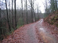 2012 Raven Cliffs Run 1 090  Just outside Helen Georgia, two hours North of Atlanta is Raven Cliffs State Park. It has one of the highest waterfalls in Georgia, and a nice trail to run. Round trip, just under five miles. : Trail Runs