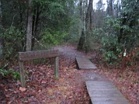 2012 Raven Cliffs Run 2 066  This time I found the correct trail head and went TOWARD the falls. Much nicer run! Just outside Helen Georgia, two hours North of Atlanta is Raven Cliffs State Park. It has one of the highest waterfalls in Georgia, and a nice trail to run. Round trip, just under five miles. : Trail Runs
