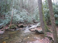 2012 Raven Cliffs Run 2 080  Just outside Helen Georgia, two hours North of Atlanta is Raven Cliffs State Park. It has one of the highest waterfalls in Georgia, and a nice trail to run. Round trip, just under five miles. : Trail Runs