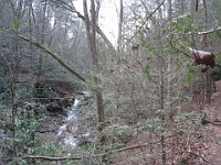 2012 Raven Cliffs Run 2 095  Just outside Helen Georgia, two hours North of Atlanta is Raven Cliffs State Park. It has one of the highest waterfalls in Georgia, and a nice trail to run. Round trip, just under five miles. : Trail Runs
