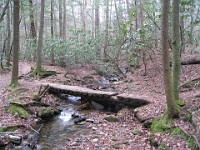 2012 Raven Cliffs Run 2 115  Just outside Helen Georgia, two hours North of Atlanta is Raven Cliffs State Park. It has one of the highest waterfalls in Georgia, and a nice trail to run. Round trip, just under five miles. : Trail Runs