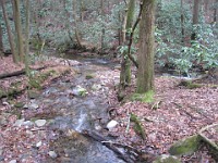 2012 Raven Cliffs Run 2 120  Just outside Helen Georgia, two hours North of Atlanta is Raven Cliffs State Park. It has one of the highest waterfalls in Georgia, and a nice trail to run. Round trip, just under five miles. : Trail Runs