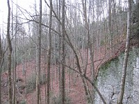 2012 Raven Cliffs Run 2 215  Just outside Helen Georgia, two hours North of Atlanta is Raven Cliffs State Park. It has one of the highest waterfalls in Georgia, and a nice trail to run. Round trip, just under five miles. : Trail Runs