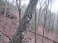 2012 Raven Cliffs Run 2 230  Just outside Helen Georgia, two hours North of Atlanta is Raven Cliffs State Park. It has one of the highest waterfalls in Georgia, and a nice trail to run. Round trip, just under five miles. : Trail Runs