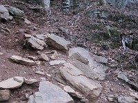 2012 Raven Cliffs Run 2 240  Just outside Helen Georgia, two hours North of Atlanta is Raven Cliffs State Park. It has one of the highest waterfalls in Georgia, and a nice trail to run. Round trip, just under five miles. : Trail Runs