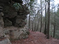 2012 Raven Cliffs Run 2 455  No one else has seen this, but I have dubbed it the Crying Man. *Green tears : Trail Runs