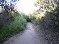 2012 Whiting Ranch CA 0060  Near Santa Ana California is Whiting Ranch State Park. A great place to "run hills". I was able to get some miles in during a trip in June of 2012. : Running, Trail