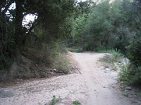 2012 Whiting Ranch CA 0075  Near Santa Ana California is Whiting Ranch State Park. A great place to "run hills". I was able to get some miles in during a trip in June of 2012. : Running, Trail