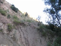 2012 Whiting Ranch CA 0085  Near Santa Ana California is Whiting Ranch State Park. A great place to "run hills". I was able to get some miles in during a trip in June of 2012. : Running, Trail