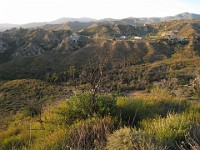 2012 Whiting Ranch CA 0130  Near Santa Ana California is Whiting Ranch State Park. A great place to "run hills". I was able to get some miles in during a trip in June of 2012. : Running, Trail